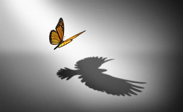 Un papillon en vol dont l’ombre portée dessine un grand oiseau aux ailes déployées.